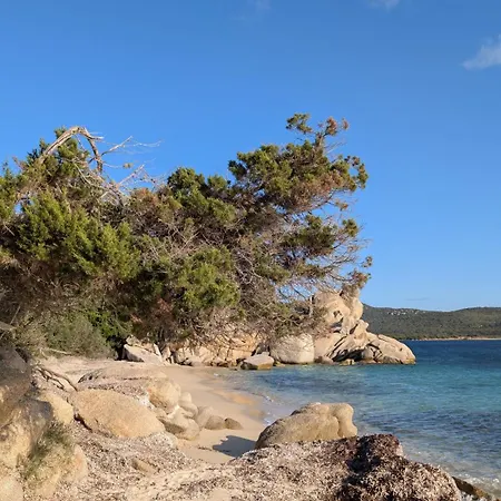 Perla Di Mare - T3 Avec Piscine Et Acces Pianottoli-Caldarello (Corsica)