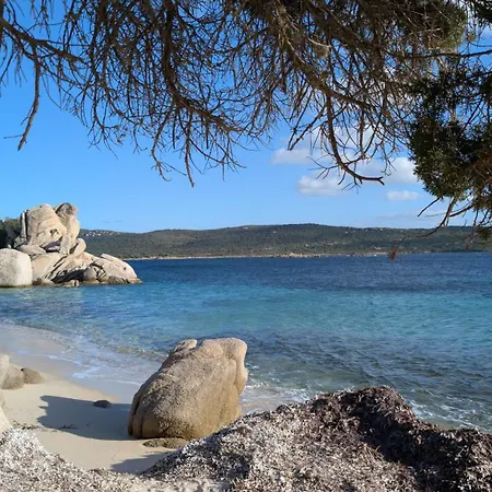 Daire Perla Di Mare - T3 Avec Piscine Et Acces Pianottoli-Caldarello (Corsica)