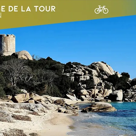 Perla Di Mare - T3 Avec Piscine Et Acces *