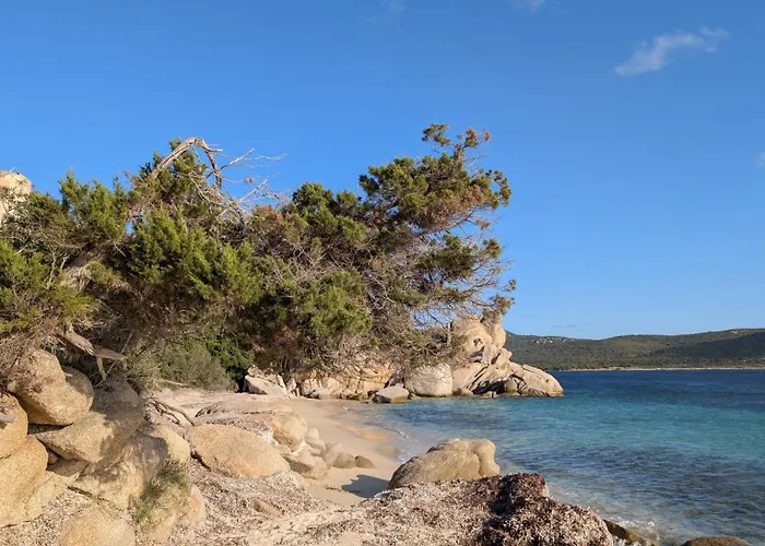Perla Di Mare - T3 Avec Piscine Et Acces Pianottoli-Caldarello (Corsica)
