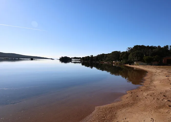 Perla Di Mare - T3 Avec Piscine Et Acces * פיאנוטולי-קלדרלו