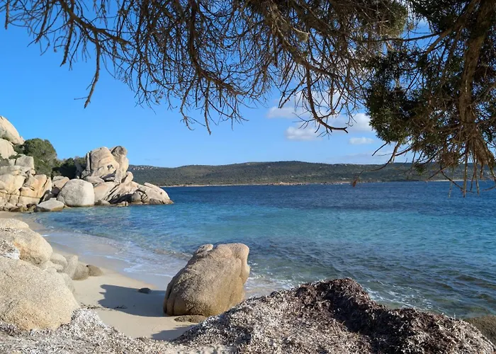 Apartament Perla Di Mare - T3 Avec Piscine Et Acces Pianottoli-Caldarello (Corsica)