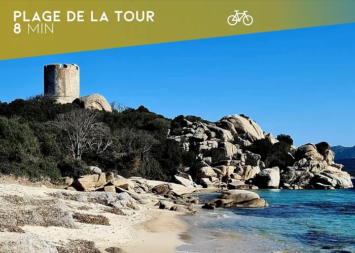 Perla Di Mare - T3 Avec Piscine Et Acces *